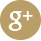 Google Plus